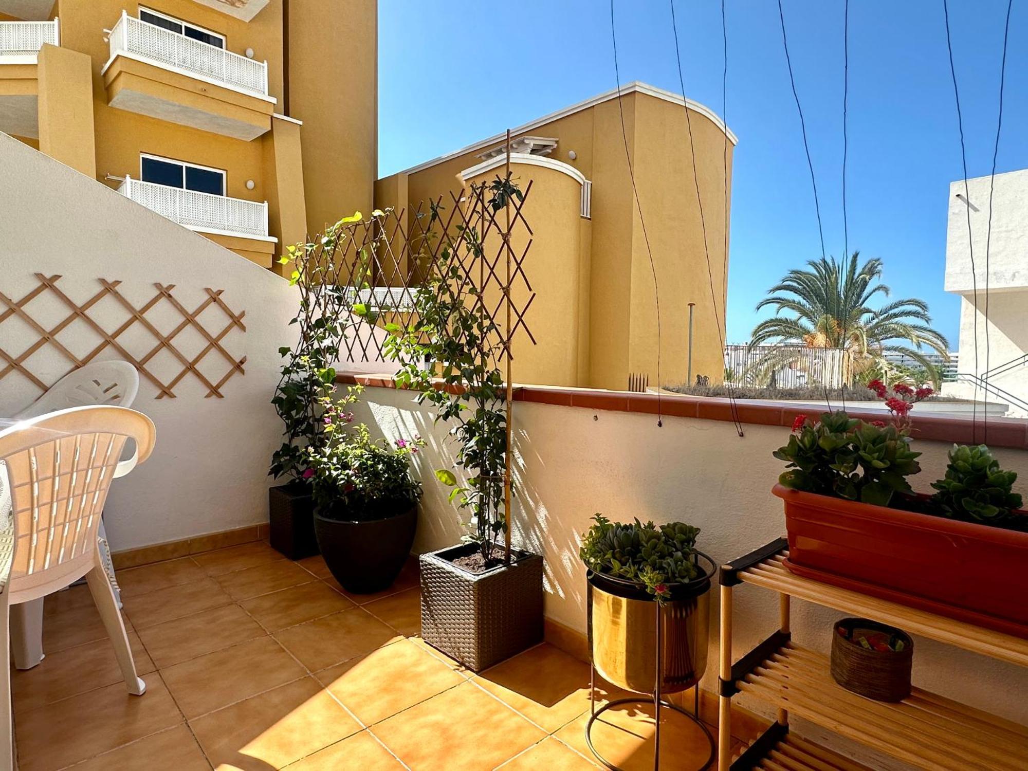 Apartment In Ocean Park Ii, Costa Adeje, Tenerife Eksteriør bilde