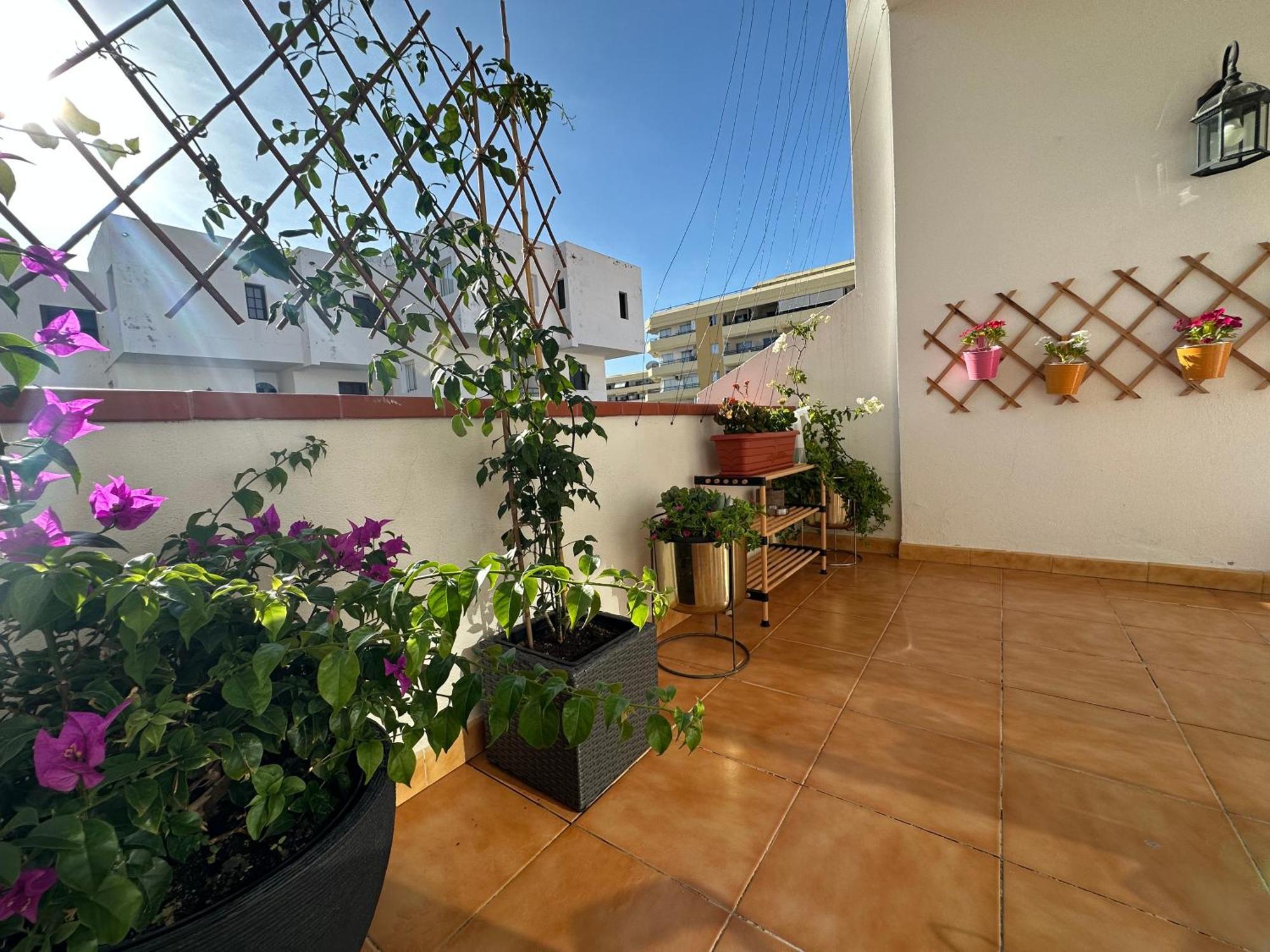 Apartment In Ocean Park Ii, Costa Adeje, Tenerife Eksteriør bilde